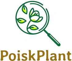 PoiskPlant — электронный справочник растений